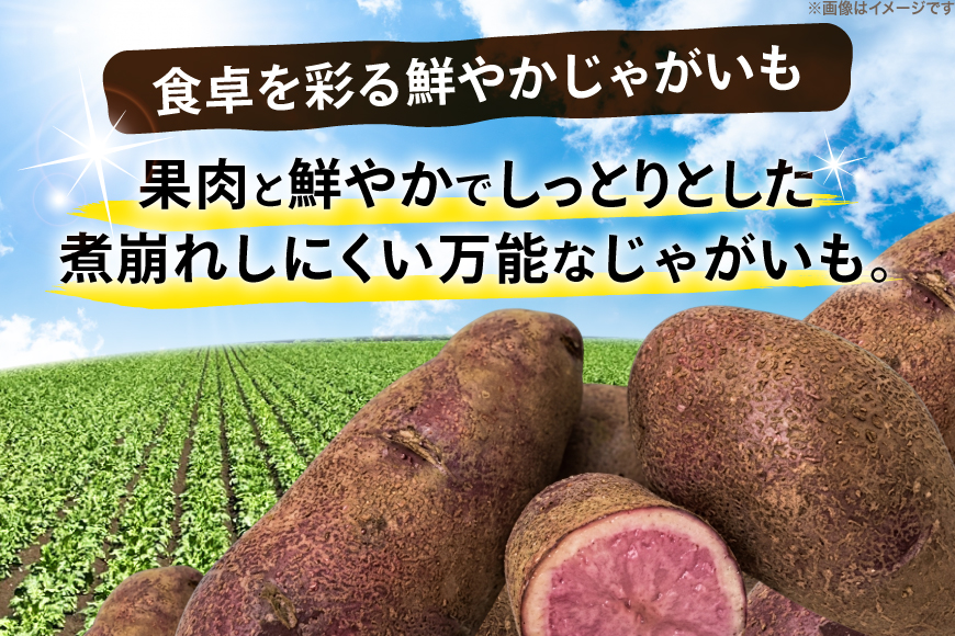 じゃがいも ノーザンルビー 5kg [けんぶちVIVAマルシェ 北海道 剣淵町 14656392] ジャガイモ 芋 いも ポテト 野菜 秋野菜 秋 常備野菜 カレー シチュー ポテトサラダ コロッケ