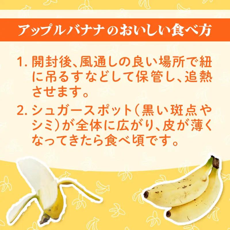 畑人のアップルバナナ 約2kg - バナナ ばなな 小ぶり もっちり とろける 甘さ 追熟 沖縄県 産地直送 果物 フルーツ 南国 朝食 おすすめ 沖縄県 八重瀬町