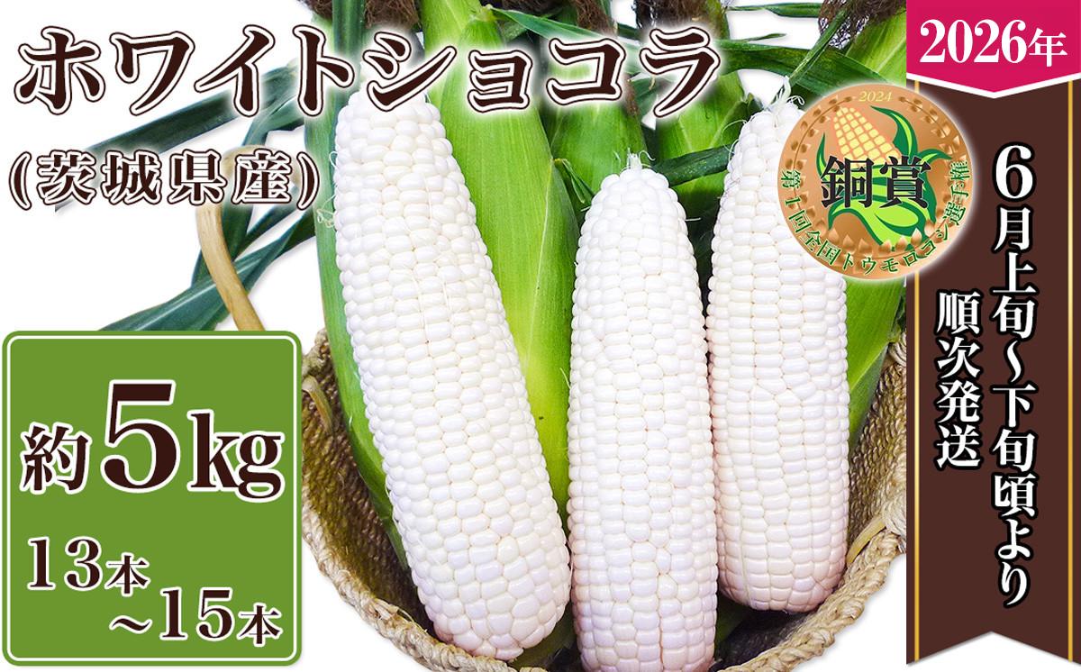 
            【 先行予約 】 【 第１回全国トウモロコシ選手権 銅賞受賞‼ 】 茨城県産 ホワイトショコラ 5kg （ 13 ～ 15本 ） 【 2026年6月上旬～6月下旬ごろ発送予定 】 【 とうもろこし トウモロコシ とうきび 甘い スイーツ デザート コーン 人気 野菜 新鮮 おすすめ 】
          