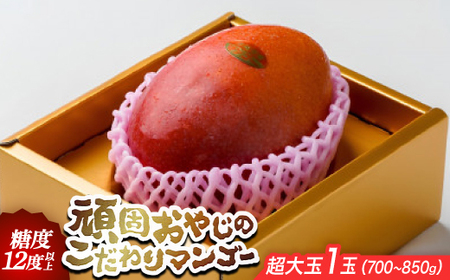 【2026年発送・糖度12度以上保証】頑固おやじのこだわりマンゴー超大玉1玉(700g～850g)【配送不可地域：離島】【1675680】