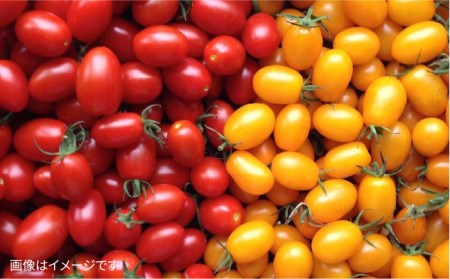 【 全6回 定期便 】【 福岡県 糸島産 】 朝採れ 野菜 セット （ 12品 前後 ） 《糸島》【オーガニックナガミツファーム】 	[AGE025]