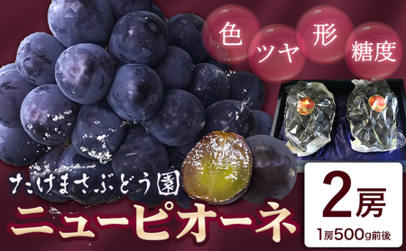 ニューピオーネ 2房(1房500g前後) たけまさぶどう園 先行予約《2025年7月中旬-10月中旬頃出荷》岡山県 浅口市 送料無料 フルーツ 果物 岡山県産 青果物 お取り寄せフルーツ 岡山産 ふるさと納税 ピオーネ 岡山 ふるさと納税 ぶどう 岡山【配送不可地域あり】（北海道・沖縄・離島）(離島)