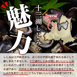 しじみ　十三湖産しじみセットＢ（道の駅十三湖高原からお届け！）