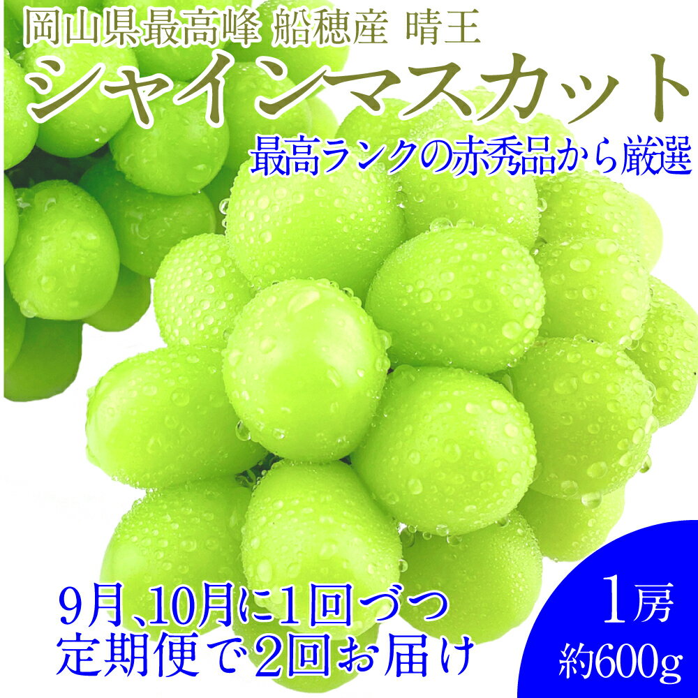 【ふるさと納税】赤秀ぶどう プレミアム シャインマスカット 晴王 1房 約600g 船穂産 赤秀品以上 皮ごと食べる みずみずしい 糖度保証 岡山県産 満天フルーツ 葡萄 ぶどう くだもの 果物 果実 倉敷市 送料無料 【先行予約：2026年9月上旬～10月下旬発送予定 2回定期便】