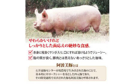 ソーセージ 小分け 450g 無塩せき 添加物不使用 ウィンナー あらびき 国産 豚肉 阿波美豚 ギフト 焼肉 バーベキュー BBQ おつまみ ビール ワイン 日本酒 徳島県