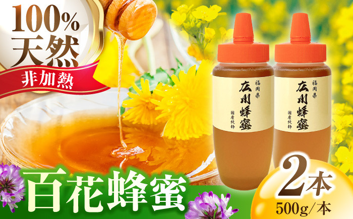 
            国産 広川蜂蜜 とんがり容器 1kg（500g×2本） 百花はちみつ 広川町 / 株式会社アルノ [AFBL001]
          