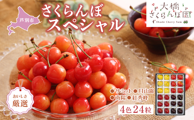 【 先行受付 】さくらんぼ 厳選 さくらんぼスペシャル 4色 2
