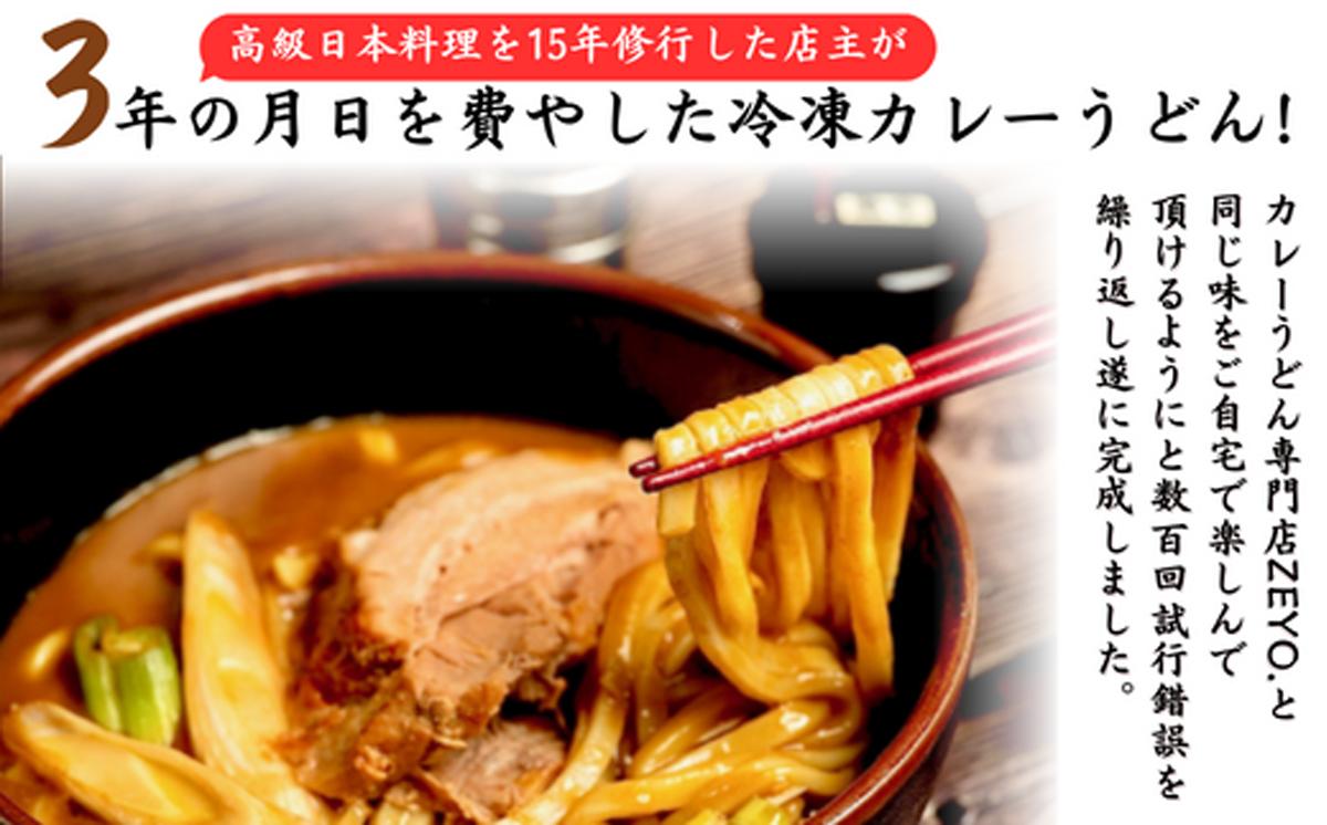 筑波大学生のソウルフード!  ZEYO.のカレーうどん 3人前(煮豚付き)【 カレーうどん カレー うどん ソウルフード 人気 煮豚 カレールー 茨城県 つくば市 】 