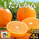 【ふるさと納税】【2025年先行予約】＜選べる＞ 奄美のたんかん 5kg 家庭用 or 贈答用 皮むき器 情報誌付 たんかん 果物 フルーツ 柑橘 奄美産 国産 数量 期間 限定 自宅用 みしょらんガイド 美味しい しーま 鹿児島 奄美市 おすすめ ランキング プレゼント ギフト