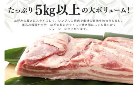 ブランド豚「ばんぶぅ」豚バラブロック1本 ばんぶぅ 豚肉 豚バラ肉 ブロック肉 しゃぶしゃぶ 焼き肉 豚バラ 真空パック しゃぶしゃぶ肉 焼肉用 ブタ肉 国産 茨城県産 ギフト プレゼント 冷蔵 高級