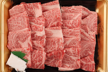 飛騨牛リブロース 500g（焼肉用）牛肉 国産 ブランド牛 【22-20【1】】【冷凍】