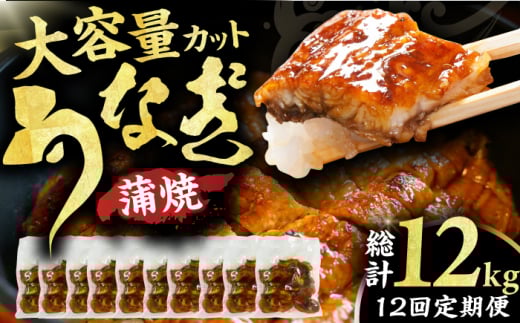 【12回定期便】刻み鰻個食パック 計1kg（100g×10P） 広川町 / イールファクトリー株式会社 [AFBS004]