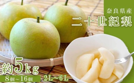 奈良の二十世紀梨（約5kg）※着日時はご指定いただけません | フルーツ くだもの 果物 なし ナシ 梨 奈良県 五條市 二十世紀 20世紀