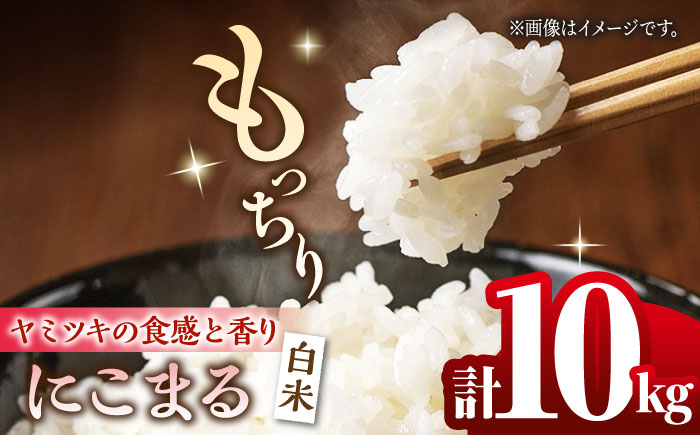 にこまる 白米 計10kg（5kg×2袋）【竹下農園】 [ZEL004]