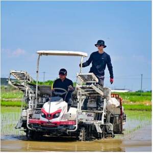 【発送月固定定期便】【先行予約】岐阜県産ハツシモ(精米)10kg【1月・2月・3月発送】全3回【配送不可地域：離島】【4073157】