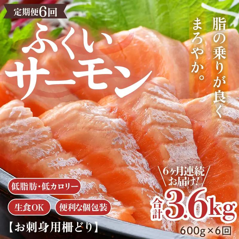 《定期便6回》ふくいサーモン 柵どり 150g×4パック 計600g ＜鮮度抜群！＞ ／サーモン 鮭 [aw002-k001]