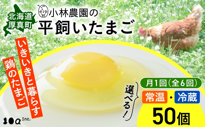 
                  【全6回定期便】小林農園の平飼いたまご・無投薬 50個《厚真町》【テンアール株式会社】 有精卵 卵 鶏卵 玉子 生卵 平飼い 北海道 定期便 [AXAN002]
                