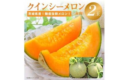 来年2026年先行予約！糖度抜群！奇跡のクインシーメロン（赤肉）2玉入り