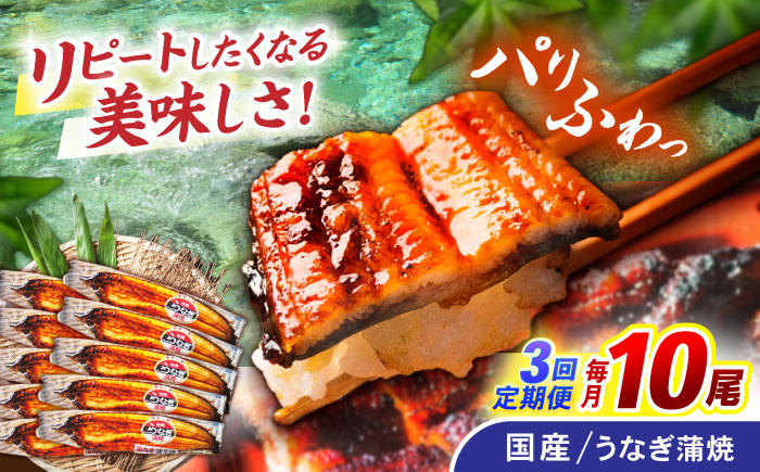 【3回定期便】【諫早淡水】うなぎ蒲焼10尾 / うなぎ ウナギ 鰻 蒲焼 たれ 老舗 / 諫早市 / 諫早淡水 [AHAT021]