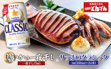 特製いかの一夜干し(5枚入り）とサッポロクラシックのセット【C99019】
