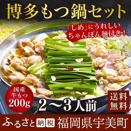 博多牛もつ鍋A　2～3人前 ／ モツ鍋 ホルモン鍋 ちゃんぽん麺 国産 福岡県 特産　FZ002