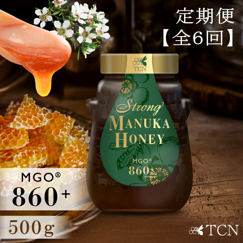 【ふるさと納税】マヌカハニー MGO860+ 500g ストロングマヌカハニー【定期便全6回 ※隔月でお届け】高級 純粋活性マヌカハニー マヌカ mgo 860以上 はちみつ 蜂蜜 天然ハチミツ 自然の恵み マヌカ蜜 T146 送料無料