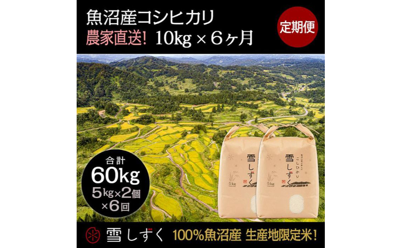 【令和8年産】定期便！魚沼産コシヒカリ【合計60kg】毎月10kg×6回 お米 ブランド米 銘柄米 精米 白米 ご飯 おにぎり お弁当 和食 産地直送