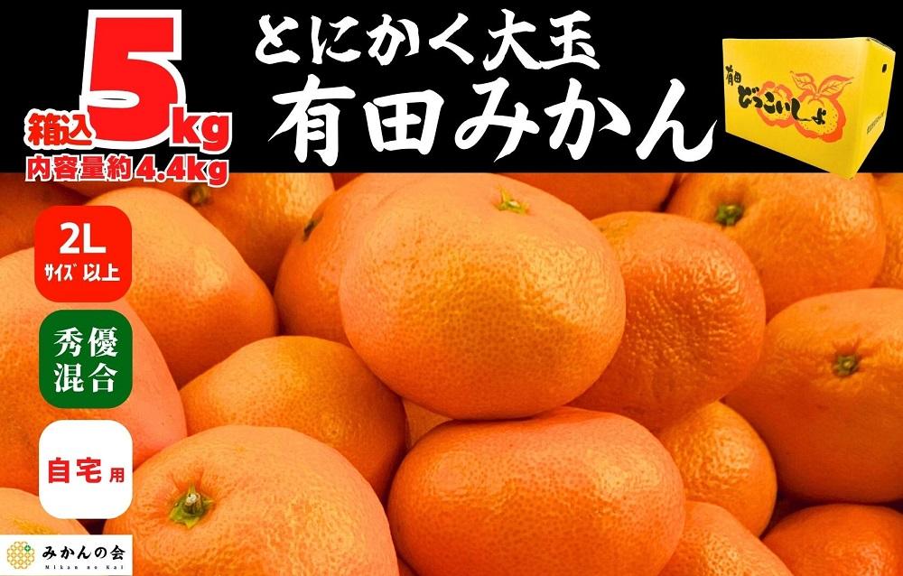 みかん 大玉 どっこいしょ 箱込 5kg ( 内容量約 4.4kg ) 2Lサイズ以上 秀品 優品 混合 有田みかん 家庭用［2026年11月中旬より順次出荷予定］［みかんの会］ AX221