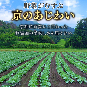 【無添加】スープ6食 京都産 野菜スープ