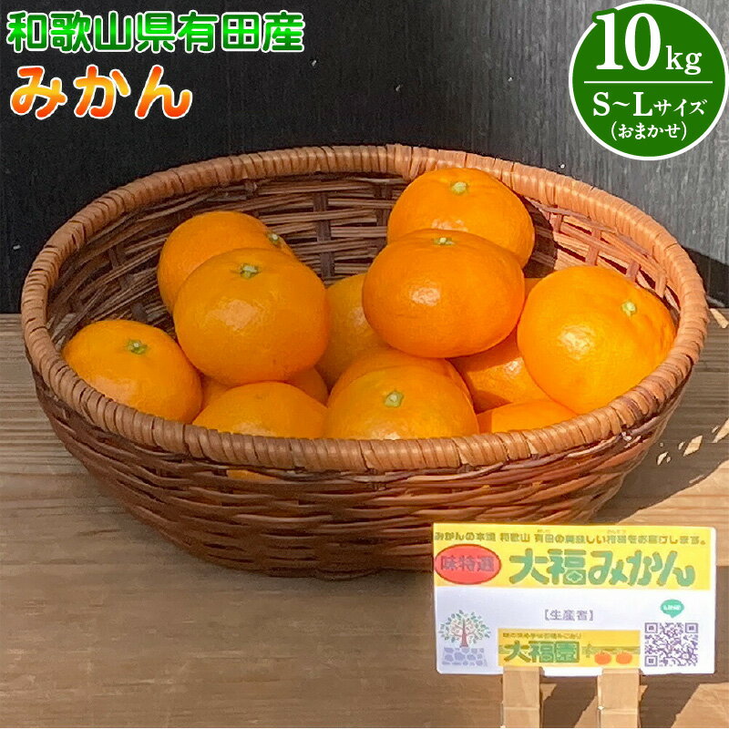 【ふるさと納税】和歌山県有田産 みかん 10kg L～Sサイズ（おまかせ）【みかん ミカン 蜜柑 柑橘 温州みかん 和歌山 有田みかん】