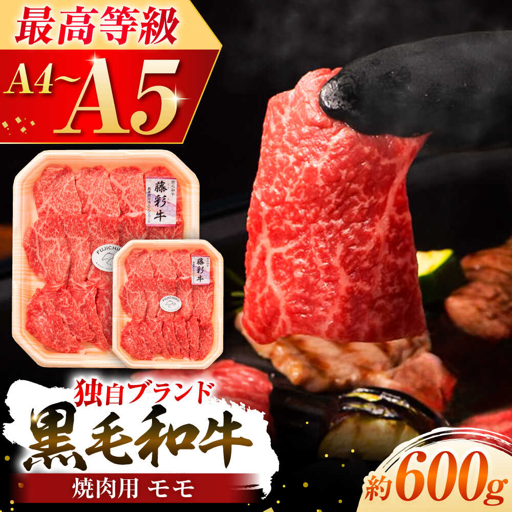 【ふるさと納税】フジチク 藤彩牛 モモ 焼肉用 約600g 牛肉 黒毛和牛 国産 300g 牛 肉 焼き肉 やきにく もも 部位 熊本 菊陽 うし ぎゅう ぎゅうにく【株式会社フジチク】[BHAD120]