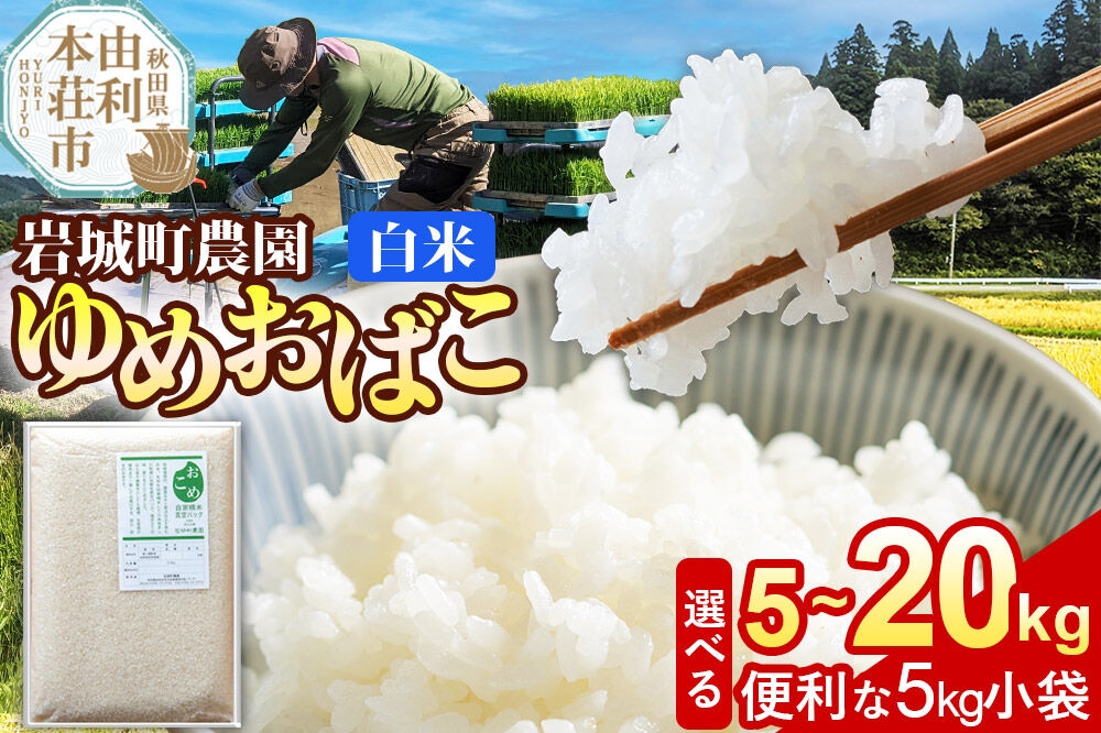 
                  【白米】ゆめおばこ 秋田県産 岩城町農園のゆめおばこ 令和7年産【選べる容量：5kg（5kg×1袋）／10kg（5kg×2袋）／15kg（5kg×3袋）／20kg（5kg×4袋）】ゆめおばこ 真空パック 岩城町農園 [ゆめおばこ 米 お米 こめ 白米 精米 食卓 ご飯 ごはん おにぎり 秋田県 由利本荘市]
                
