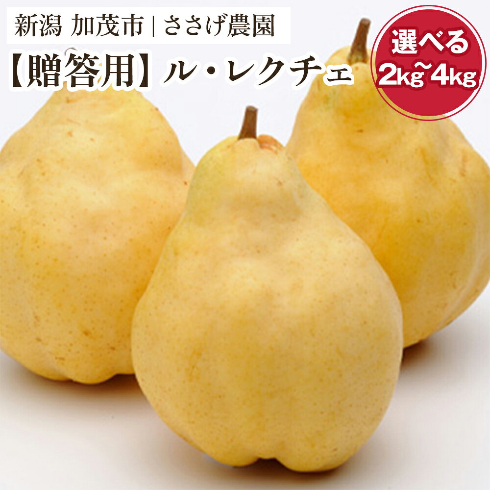 【ふるさと納税】【2026年先行予約】新潟特産 幻の洋梨ル・レクチェ 贈答用 「2kg 」or「3kg 」or「4kg 」《11月下旬～順次出荷》 果物 フルーツギフト 冬の味覚 産地直送加茂市 ささげ農園