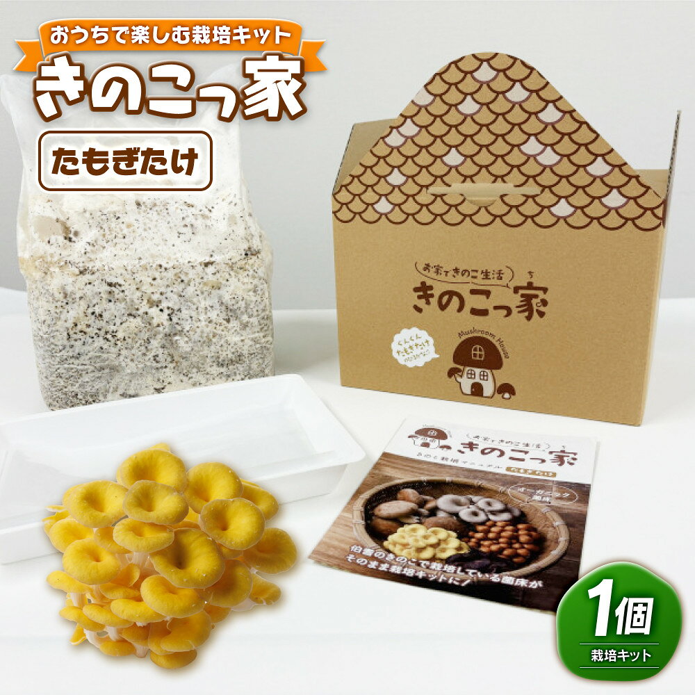 【ふるさと納税】おうちで楽しむ栽培キット「きのこっ家」　たもぎたけ　