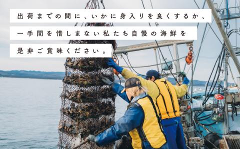 【国内消費拡大求む】≪先行予約2024年11月から配送北海道サロマ湖産　貝付きホタテ18枚　ほたて　帆立　刺身　海鮮　魚介　殻付き　貝付き　冷蔵　サロマ湖　オホーツク　おほーつく　湧別町　北海道