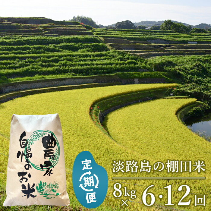 【ふるさと納税】【定期便】淡路島の棚田米 8kg×6回・12回・隔月6回