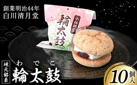 【地元銘菓】輪太鼓（わでこ） 10個入 （輪太鼓 わでこ 老舗 ブッセ お餅 餅 餡子 銘菓 お菓子 宮崎 小林市）