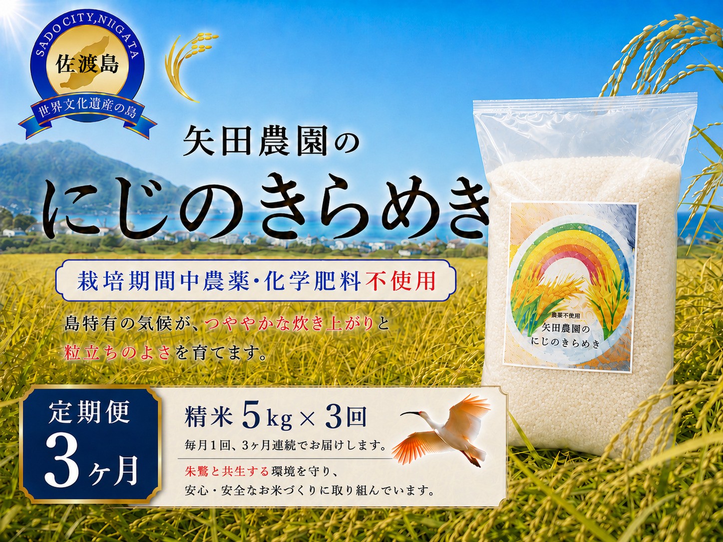 
                  【3か月定期便 令和8年産】佐渡産にじのきらめき 精米(5kg×3回) 栽培期間中 農薬・化学肥料不使用 矢田農園 | 新潟県産にじのきらめき 新潟産にじのきらめき 佐渡産にじのきらめき お米 米 にじのきらめき 白米 精米 おこめ コメ 5キロ 農家直送 にいがた さど 新潟県 佐渡市
                