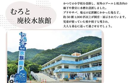 松翁 720ml 1本 どぶろく にごり酒 日本酒 松尾酒造 [nm030h01]【高知県】 seas69
