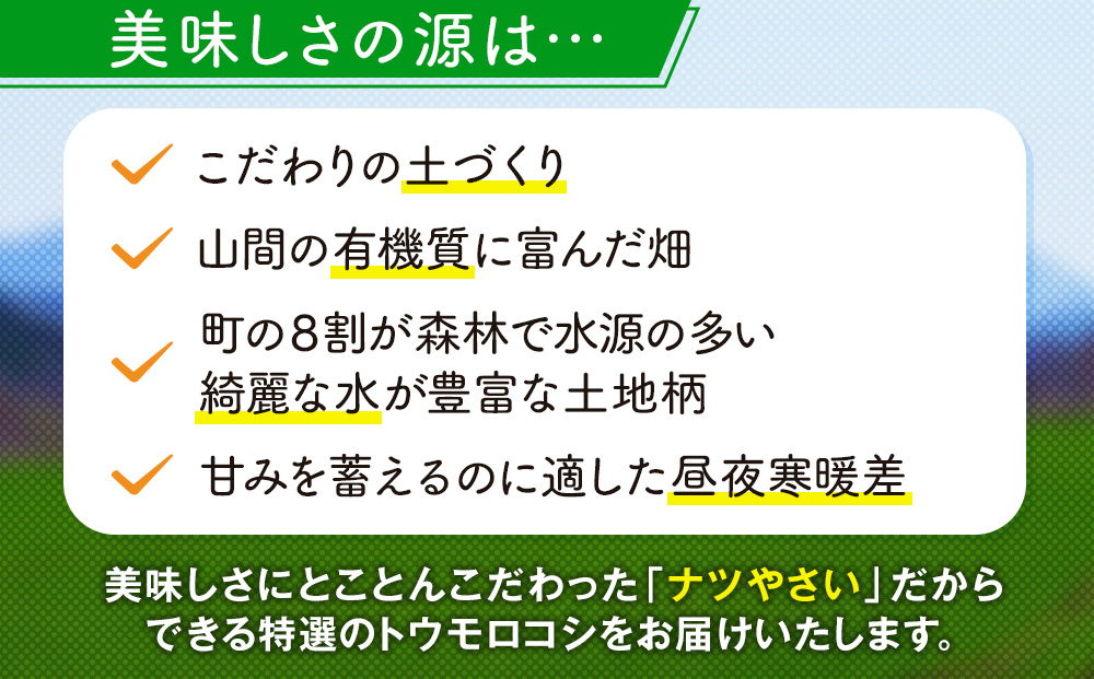 【R7年早期受付】 8月の旬 トウモロコシ 5〜6本 ピンクの八百屋〜ナツやさい〜 | とうもろこし トウモロコシ ゴールドラッシュ 旬 新鮮 野菜 夏 甘い 産地直送 北海道 津別町 送料無料