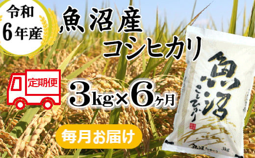 KU54P382 令和6年産 魚沼産コシヒカリ定期便 3kg×6回【毎月お届け】和紙製P袋（小千谷米穀）白米 魚沼 米 定期便