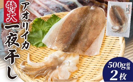 アオリイカ一夜干し特大（500g前後）2枚