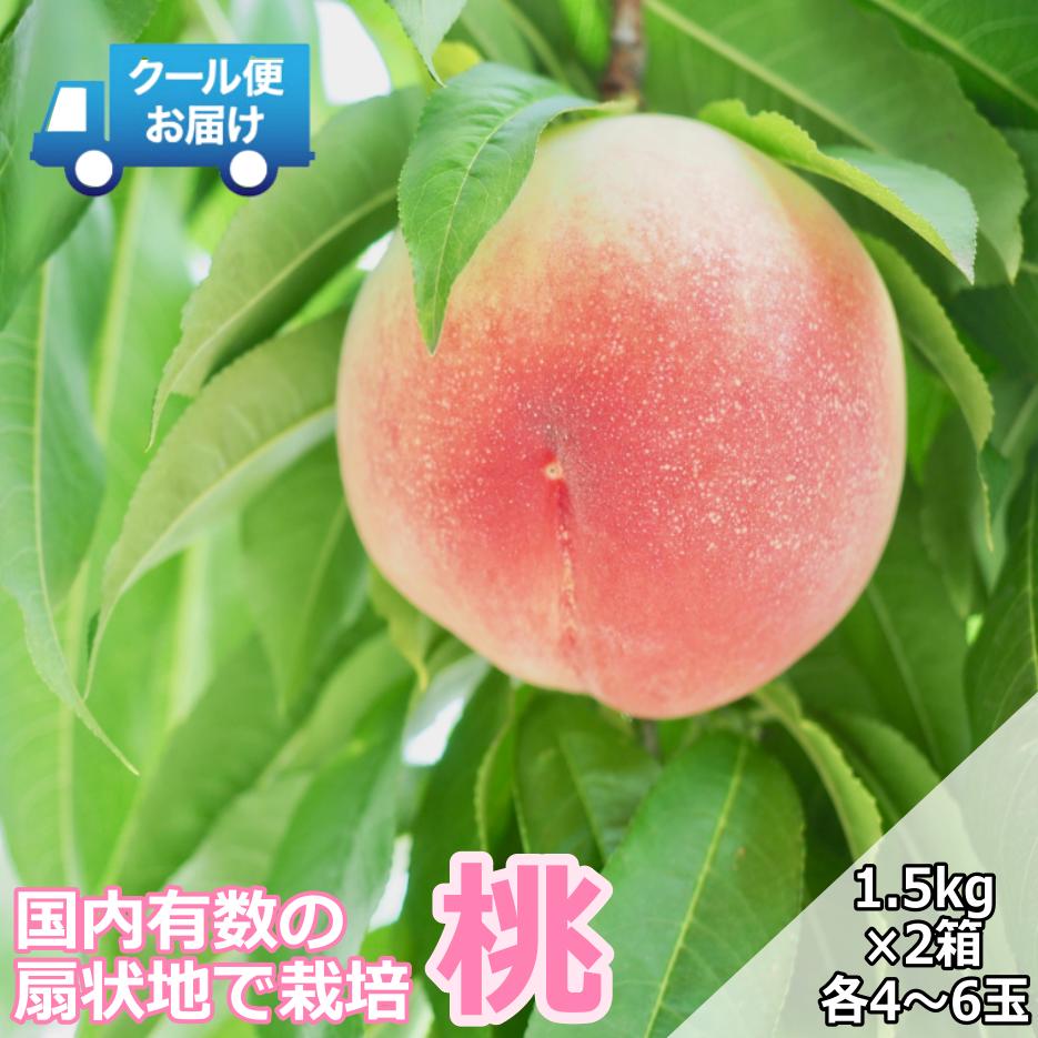 
            【令和7年発送先行予約】クール便　収穫当日に発送　桃　1.5㎏×2箱　各箱4～6玉 ALPDG004
          