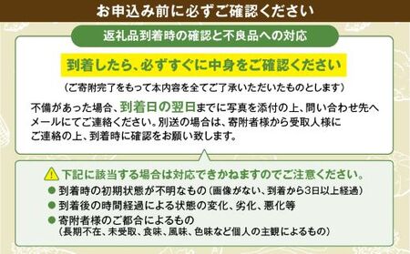 日時指定可能！旬のお野菜セット（サイズ大）【全12回定期便】