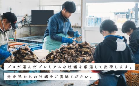 【国内消費拡大求む】訳あり北海道湧別町サロマ湖産　殻付き2年牡蠣3.9㎏（約42個入）牡蠣　カキ　かき　海鮮　魚介　国産　殻付き　生牡蠣　生食　焼き牡蠣　蒸し牡蠣　冷蔵　産地直送　サロマ湖　オホーツク