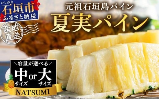 
            【先行予約】夏実パイン (ハワイ種) 【大玉・中玉】＜2026年7月下旬発送＞【 産地直送 沖縄 石垣 フルーツ パイナップル パイン ハワイ 夏実パイン 】
          