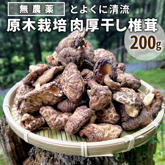 【ふるさと納税】無農薬 原木栽培 肉厚 とよくに清流 ほししいたけ 200g しいたけ 椎茸 シイタケ 原木椎茸 野菜 きのこ 無農薬栽培 干ししいたけ 乾燥しいたけ 干し椎茸 バーベキュー -017
