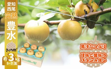 【数量限定】＜きらり園＞　完熟　豊水梨　3㎏・K341