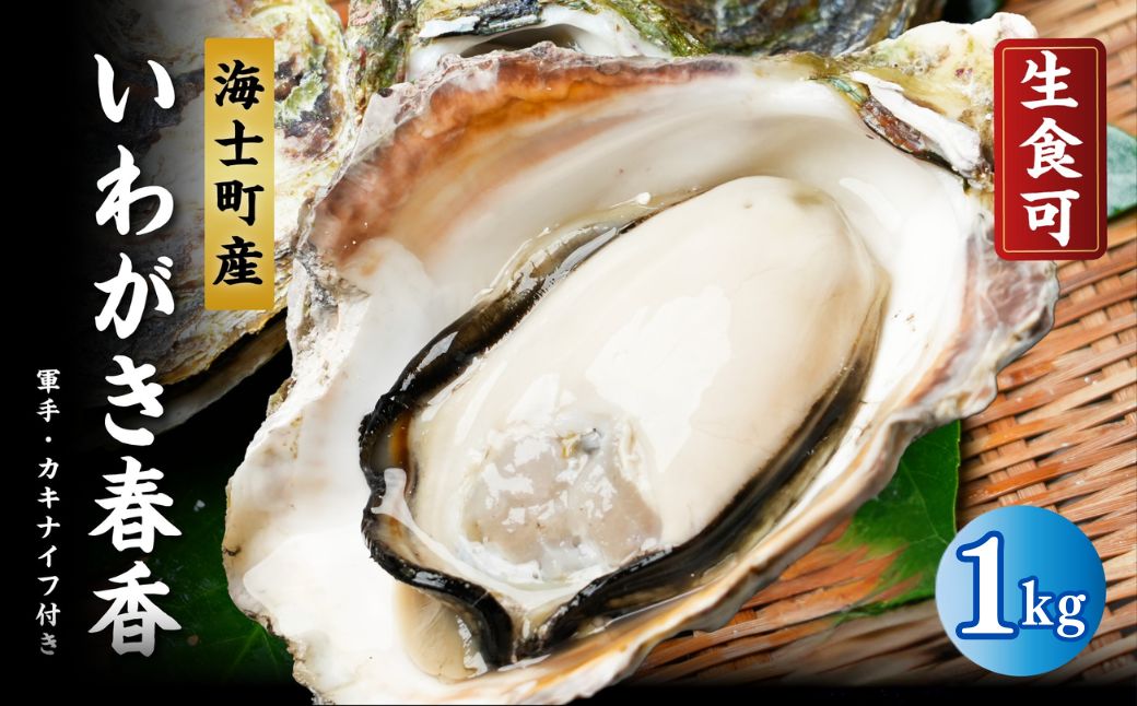 【ふるさと納税】【ブランドいわがき春香】【訳あり】食べごろサイズ 1kgセット 春香 牡蠣 牡蛎 いわがき 岩牡蠣 殻付き 海鮮 新鮮クリーミーな高級岩牡蠣 冷凍 生食 牡蠣ナイフ 説明書付き