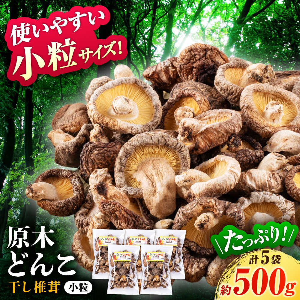 【ふるさと納税】 原木 栽培 干し 椎茸 どんこ 小粒 約500g(100g×5袋) 【小春農園】[ZBN004]